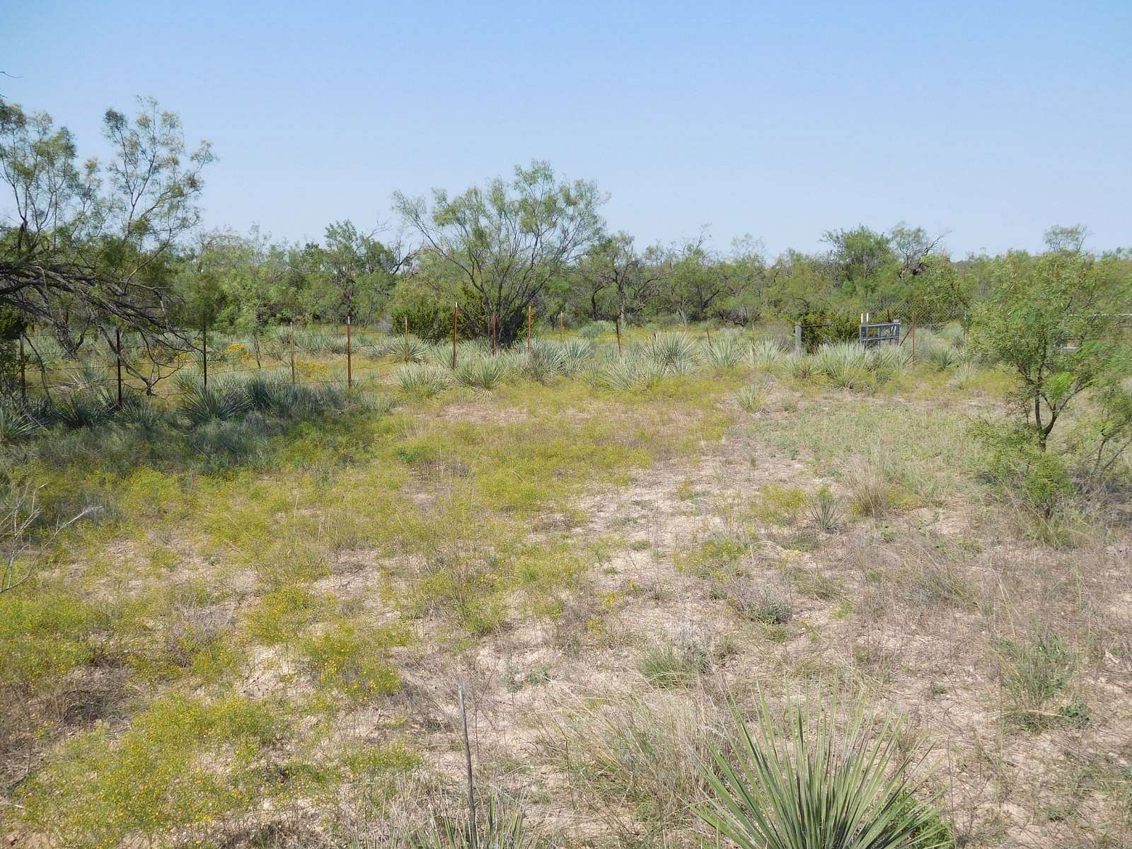 159 Acres of Recreational Land & Farm for Sale in Winters, Texas