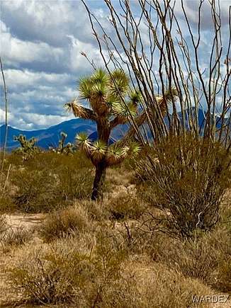 39.93 Acres of Recreational Land & Farm for Sale in Yucca, Arizona