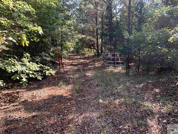 47.9 Acres of Recreational Land for Sale in Douglassville, Texas