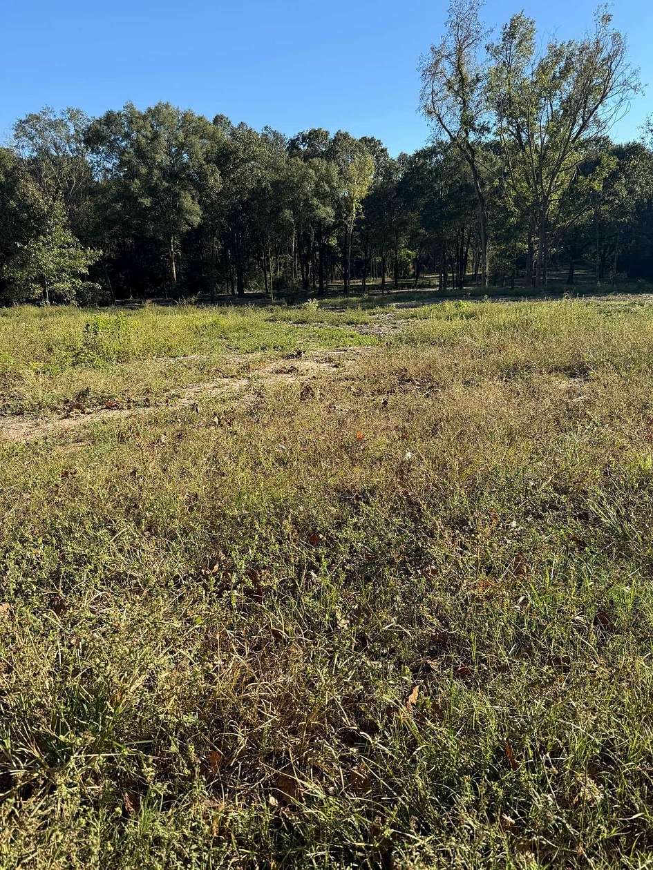 9.9 Acres of Residential Land for Sale in Center, Texas