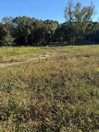 9.9 Acres of Residential Land for Sale in Center, Texas