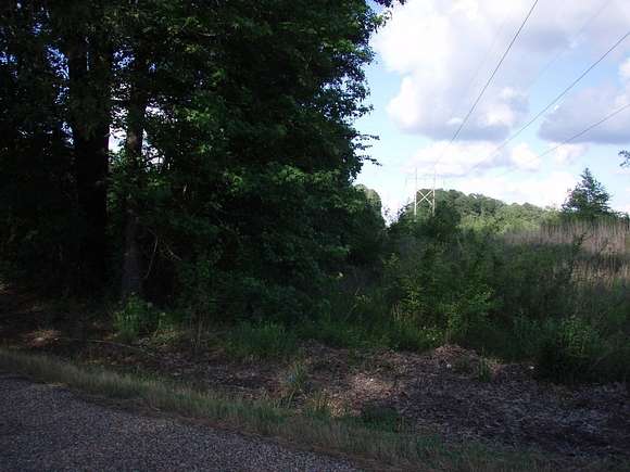 Land for Sale in Ashdown, Arkansas