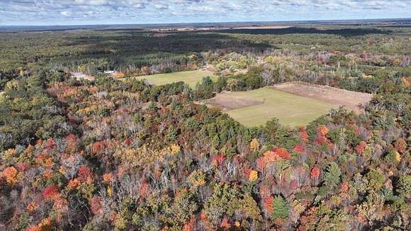 30 Acres of Land for Sale in Adams, Wisconsin