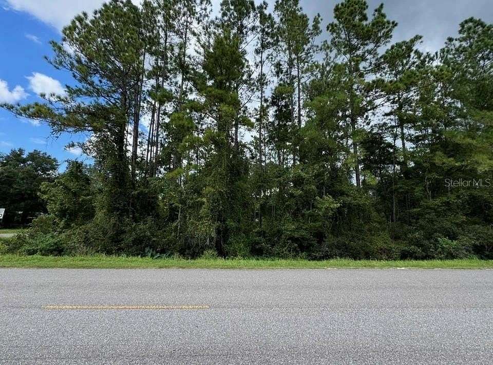 1.2 Acres of Residential Land for Sale in Hastings, Florida