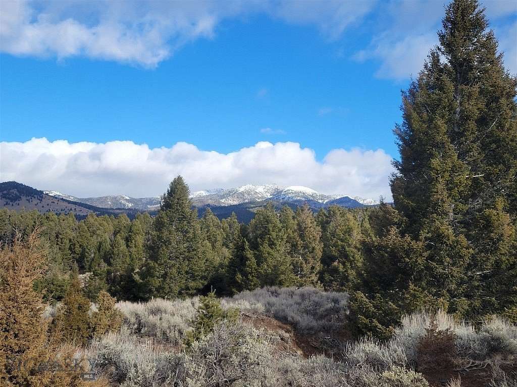 21 Acres of Recreational Land for Sale in Sheridan, Montana