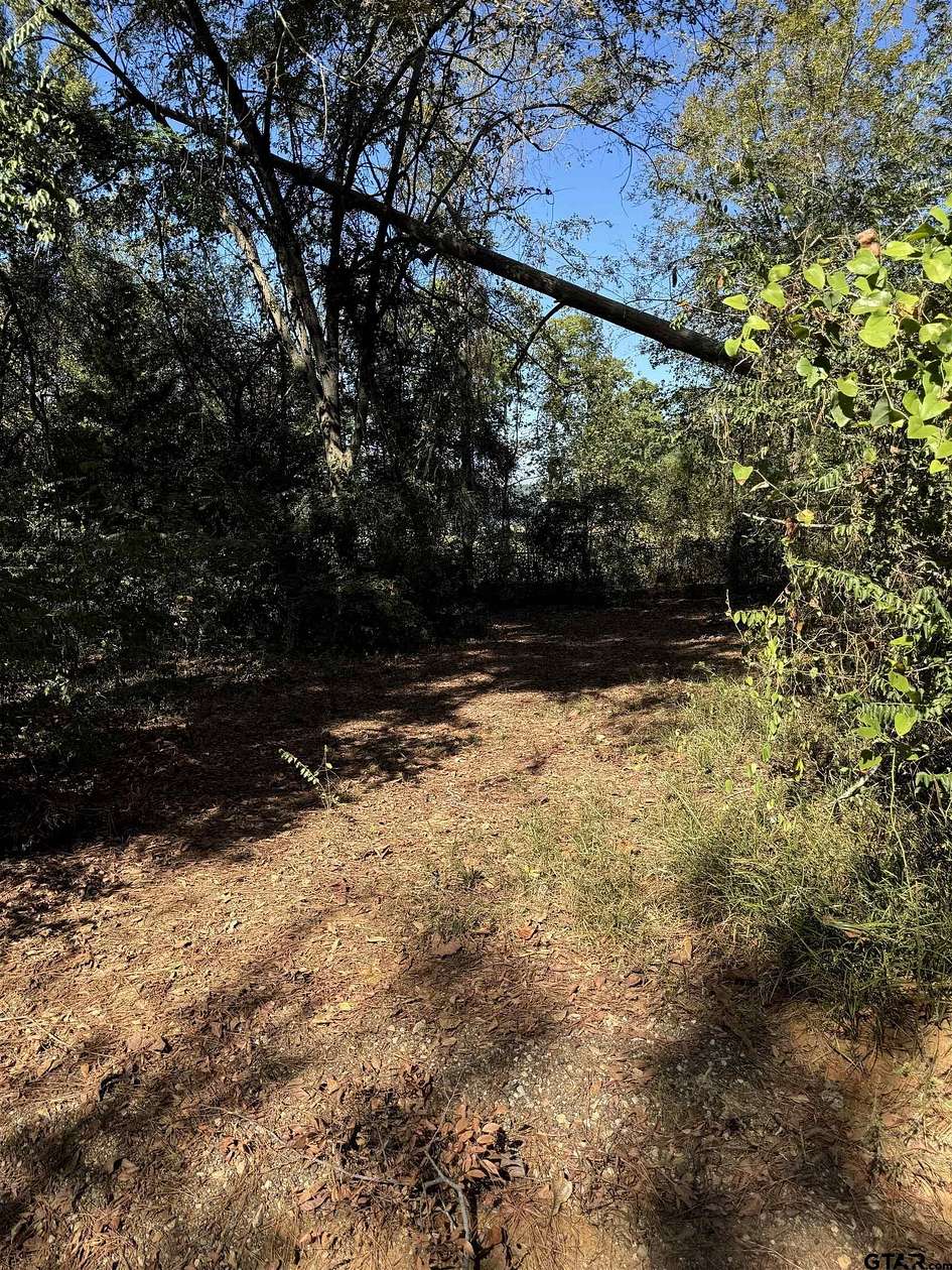 0.2 Acres of Residential Land for Sale in Flint, Texas