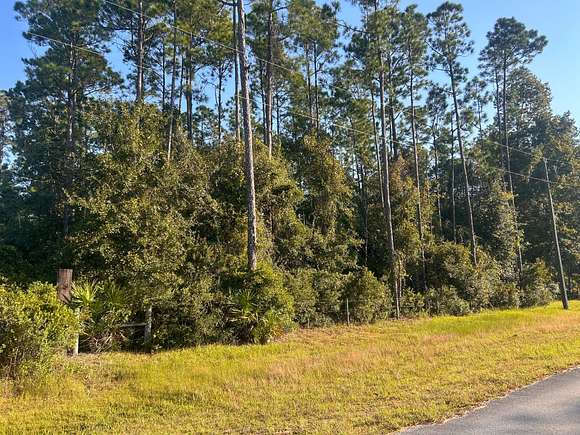 30 Acres of Recreational Land for Sale in Green Cove Springs, Florida