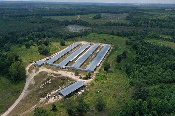 60 Acres of Agricultural Land for Sale in Jefferson, South Carolina