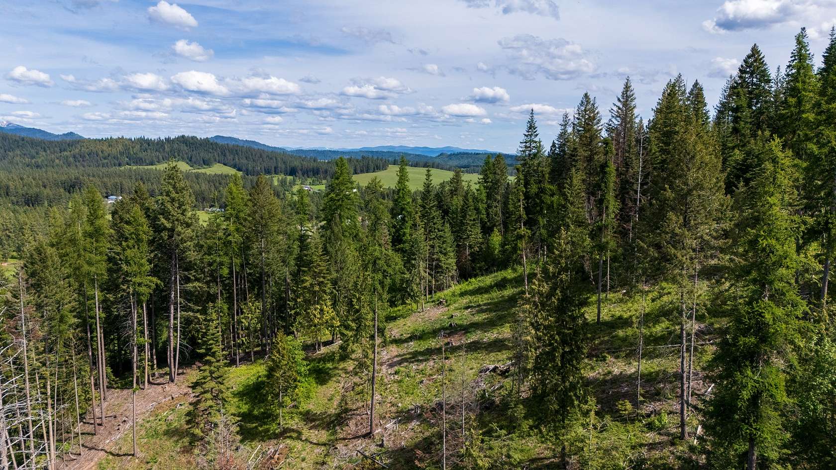 19.56 Acres of Land for Sale in Harrison, Idaho