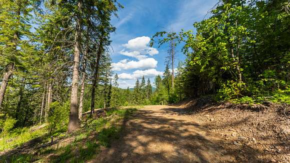 19.56 Acres of Land for Sale in Harrison, Idaho