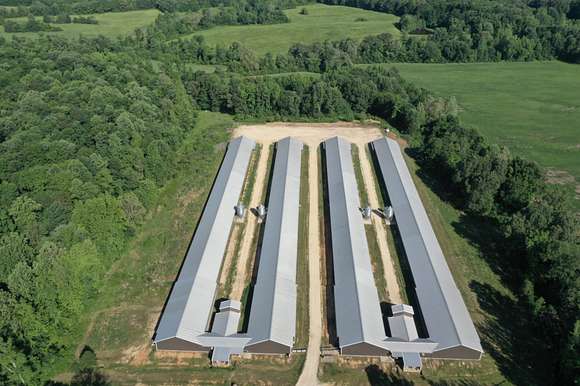 33 Acres of Agricultural Land for Sale in Dresden, Tennessee