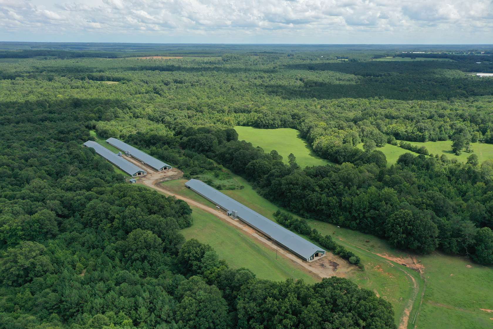 72 Acres of Agricultural Land for Sale in Lexington, Georgia