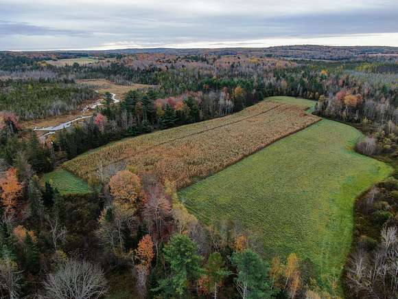 67 Acres of Recreational Land & Farm for Sale in Corinna, Maine