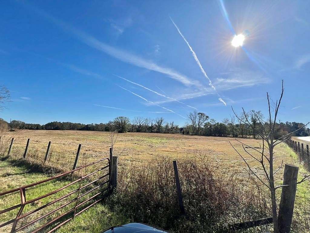 30 Acres of Land for Sale in Hahira, Georgia