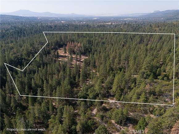 17.57 Acres of Land for Sale in Manton, California