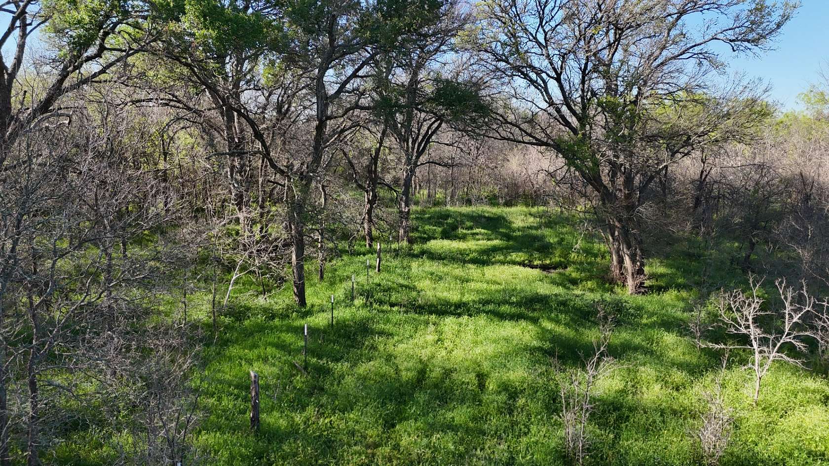 42.4 Acres of Recreational & Residential Land for Sale in Mart, Texas