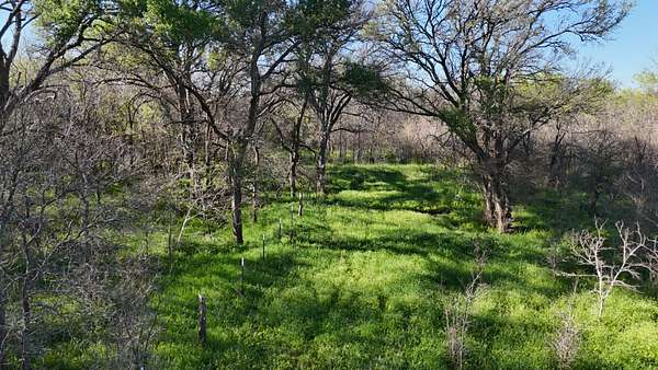 42.4 Acres of Recreational & Residential Land for Sale in Mart, Texas