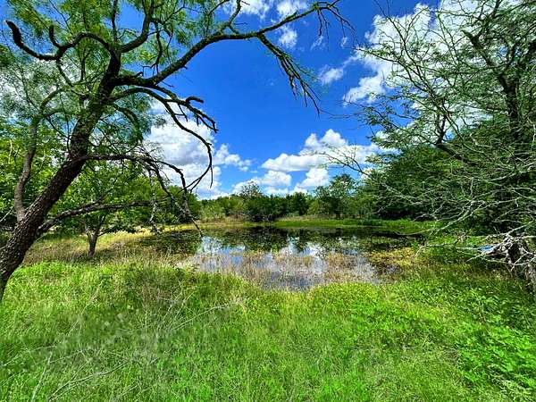 42.4 Acres of Recreational & Residential Land for Sale in Mart, Texas