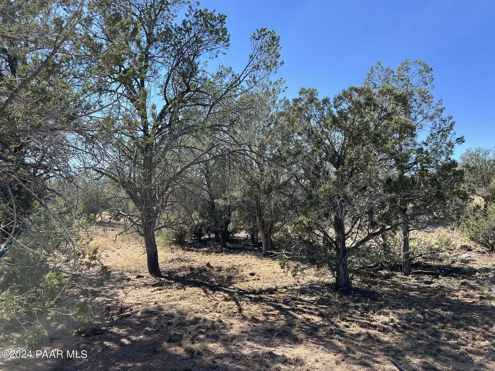 40 Acres of Recreational Land for Sale in Seligman, Arizona