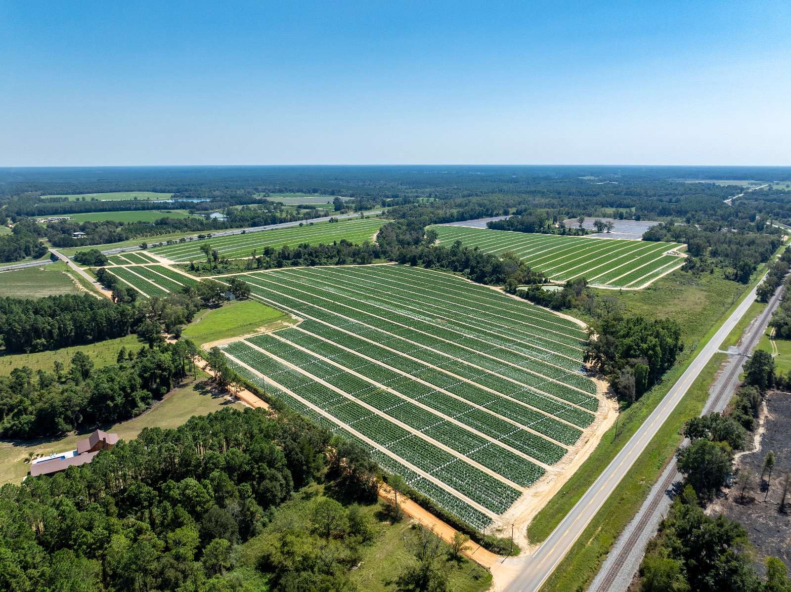 448 Acres of Agricultural Land for Auction in Tifton, Georgia