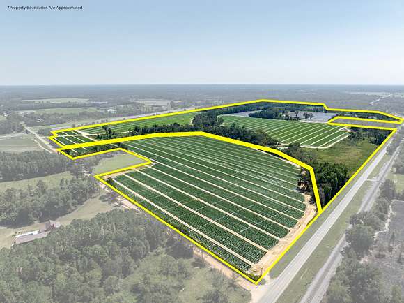 448 Acres of Agricultural Land for Auction in Tifton, Georgia