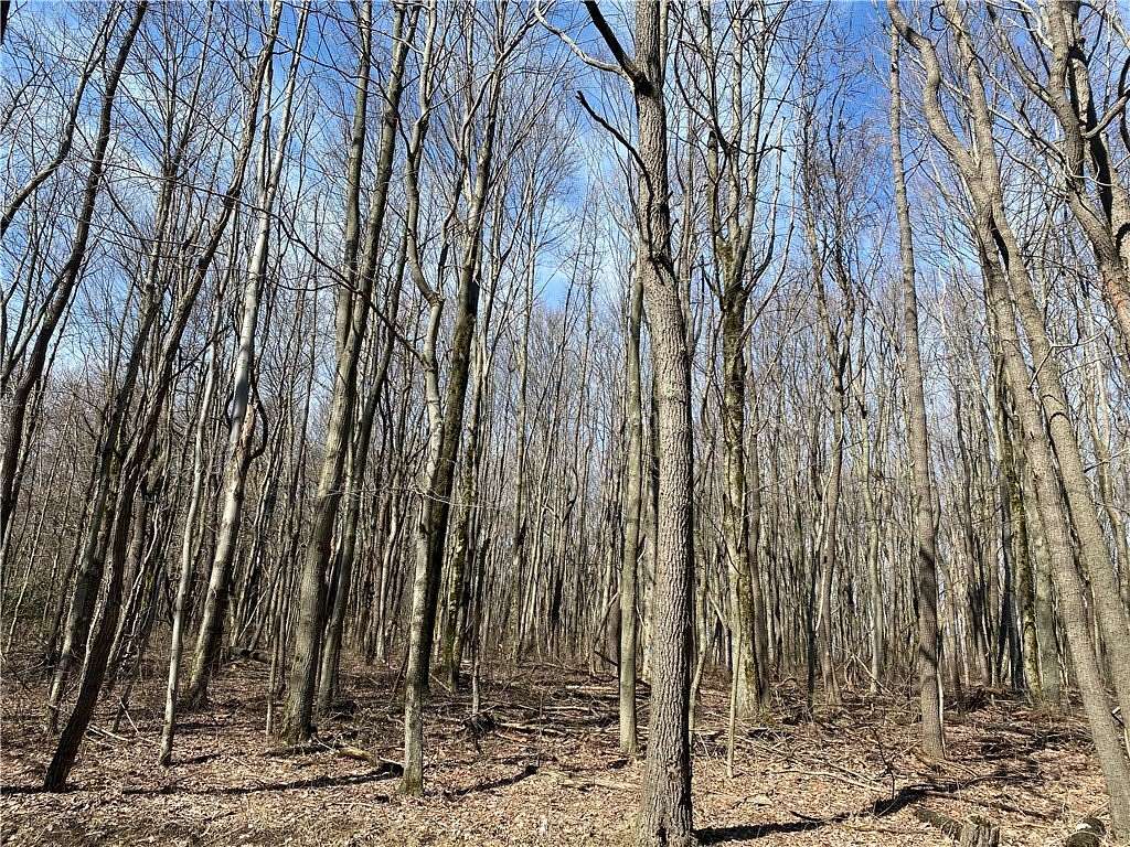 3.9 Acres of Residential Land for Sale in Cook Township, Pennsylvania