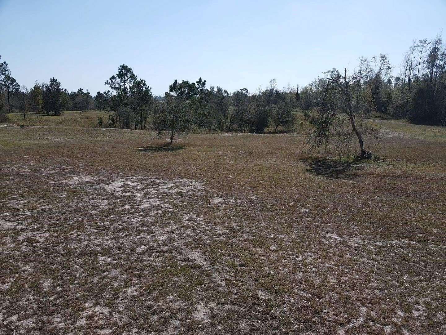 14.5 Acres of Land for Sale in Lee, Florida