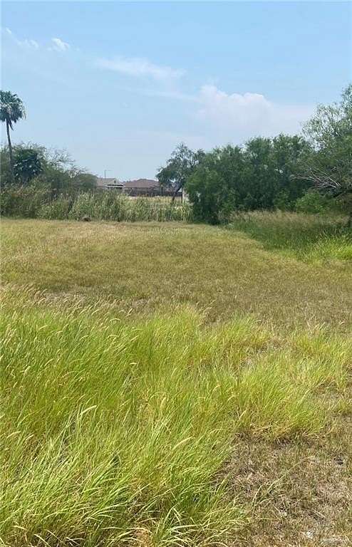 0.134 Acres of Residential Land for Sale in La Joya, Texas