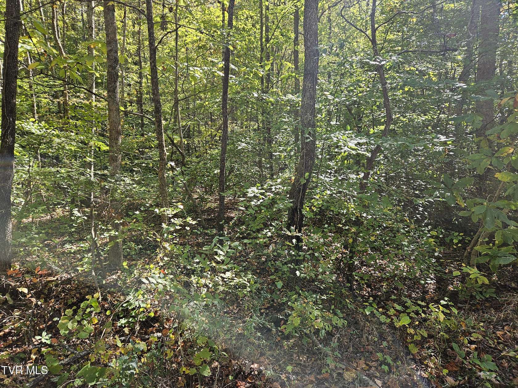 10.57 Acres of Land for Sale in Rogersville, Tennessee