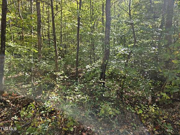 10.57 Acres of Land for Sale in Rogersville, Tennessee