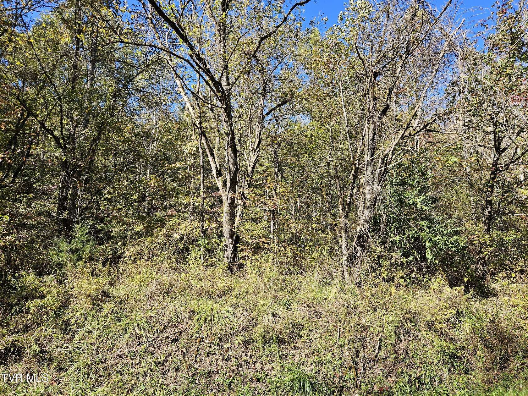 18.1 Acres of Recreational Land for Sale in Rogersville, Tennessee