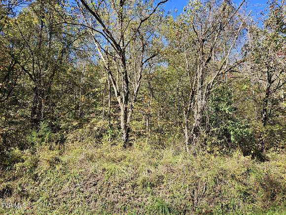 18.1 Acres of Recreational Land for Sale in Rogersville, Tennessee