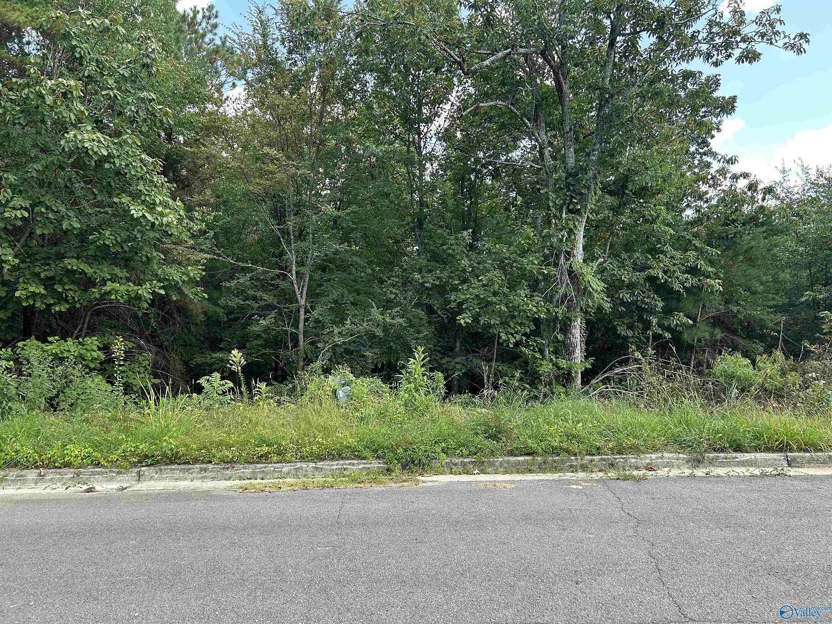 Residential Land for Sale in Guntersville, Alabama