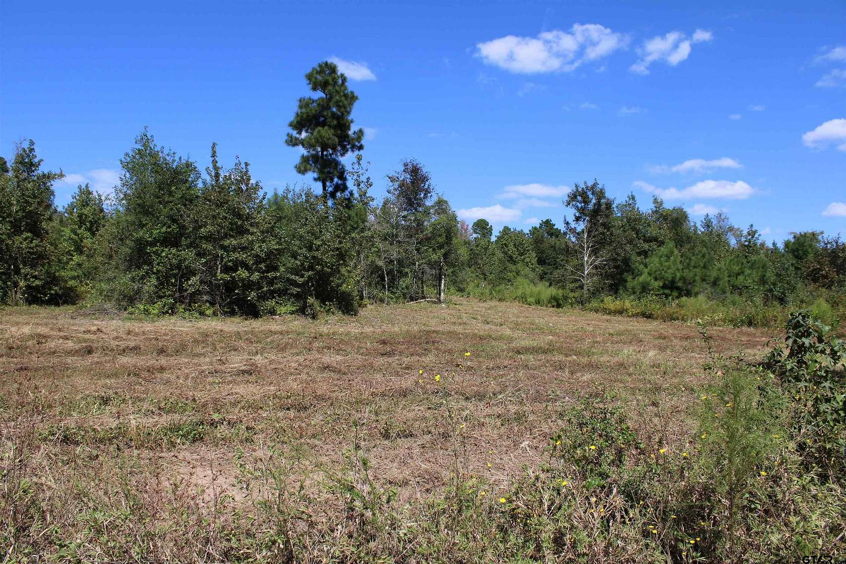 3 Acres of Residential Land for Sale in Rusk, Texas