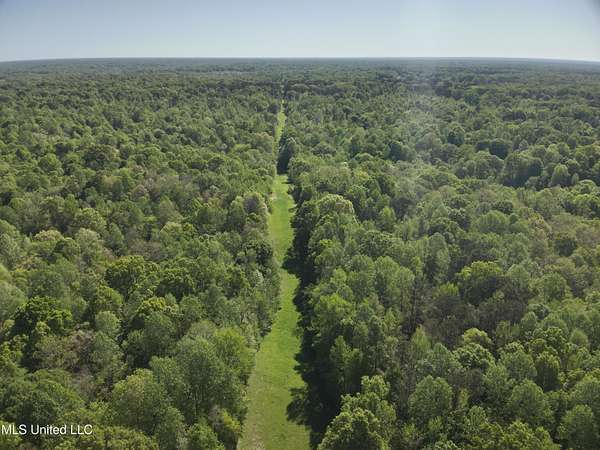 78 Acres of Recreational Land for Sale in Bentonia, Mississippi