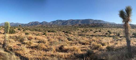 Land for Sale in Pearblossom, California