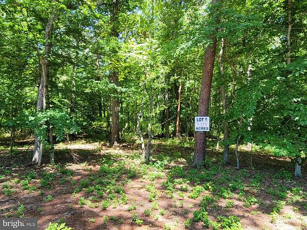 1.27 Acres of Residential Land for Sale in Centreville, Maryland