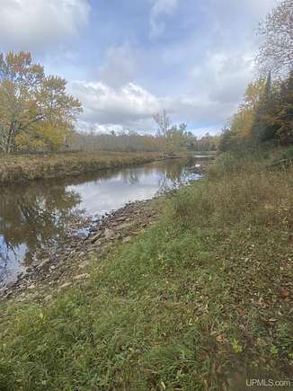 15 Acres of Recreational Land for Sale in Cornell, Michigan