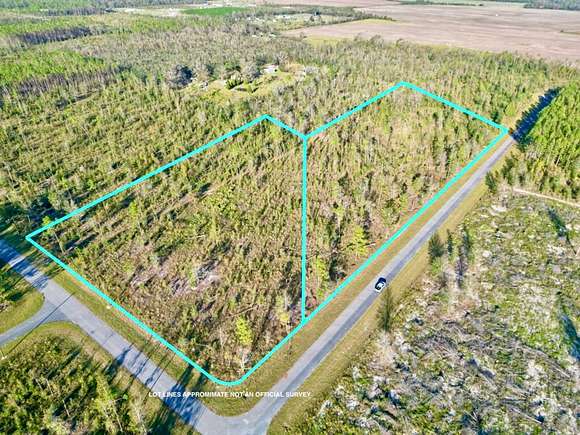 9 Acres of Residential Land for Sale in Live Oak, Florida