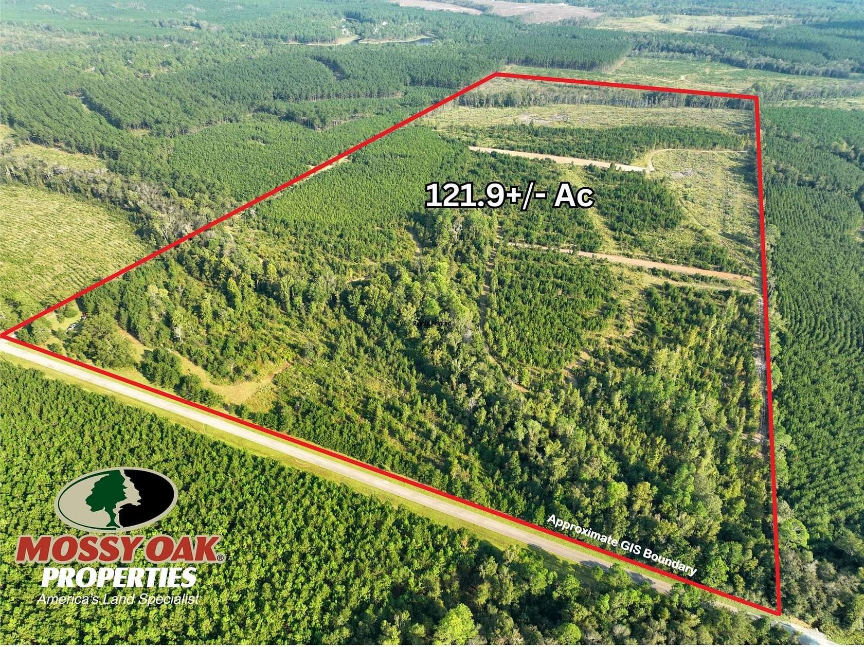 121.9 Acres of Recreational Land & Farm for Sale in Eastman, Georgia