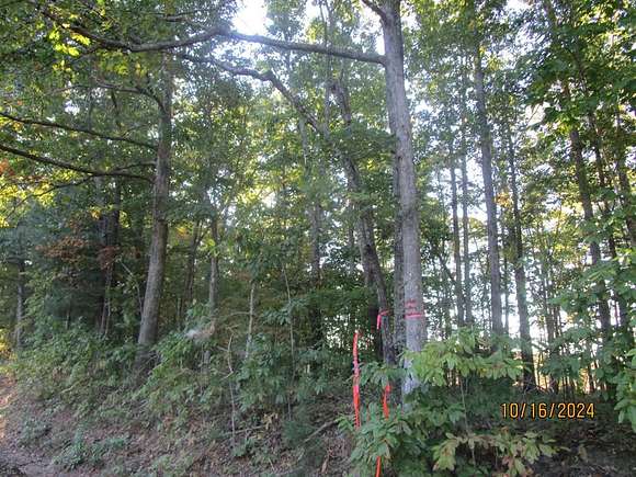 11.4 Acres of Land for Sale in Victoria, Virginia