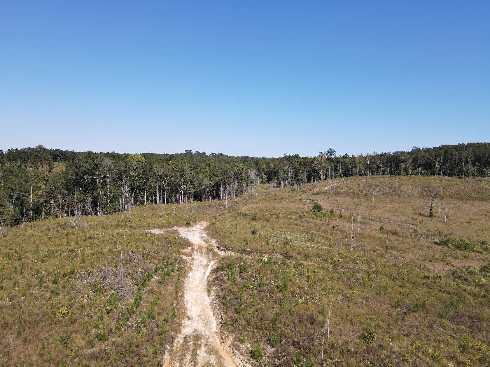 45 Acres of Recreational Land for Sale in Dozier, Alabama