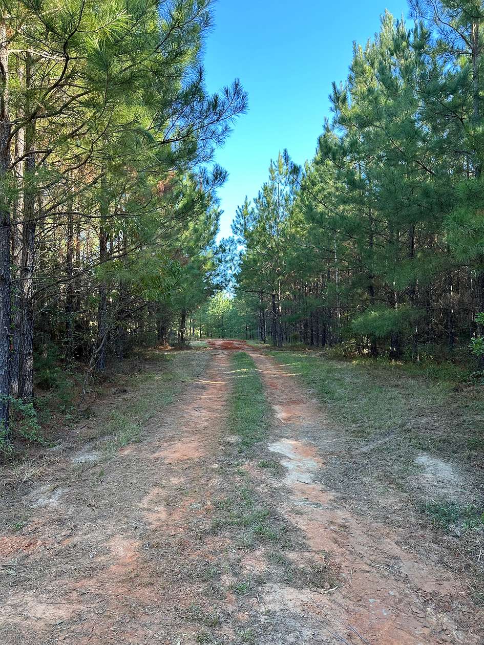 60 Acres of Land for Sale in Andalusia, Alabama