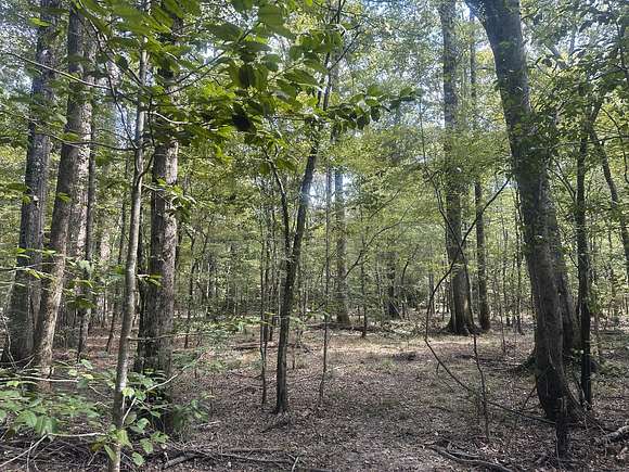 80 Acres of Recreational Land & Farm for Sale in Banks, Arkansas