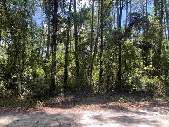 0.12 Acres of Residential Land for Sale in Crawfordville, Florida