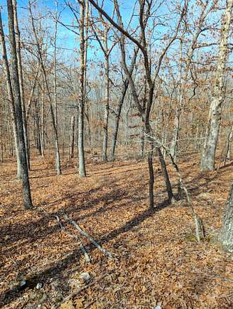 0.11 Acres of Residential Land for Sale in Ozark Township, Arkansas