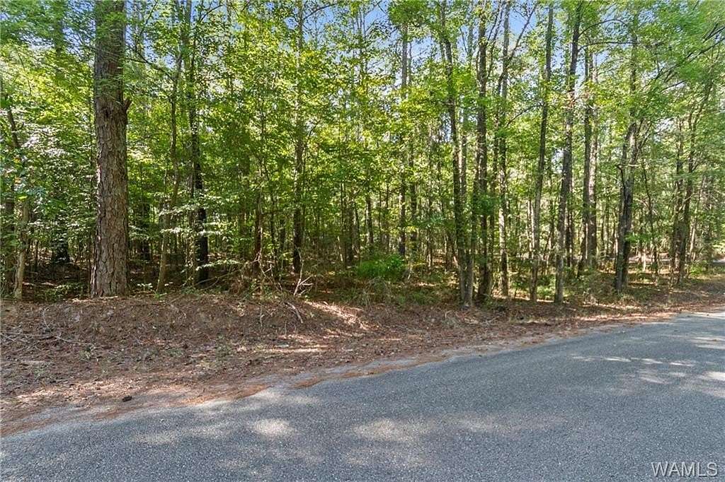 Land for Sale in Northport, Alabama