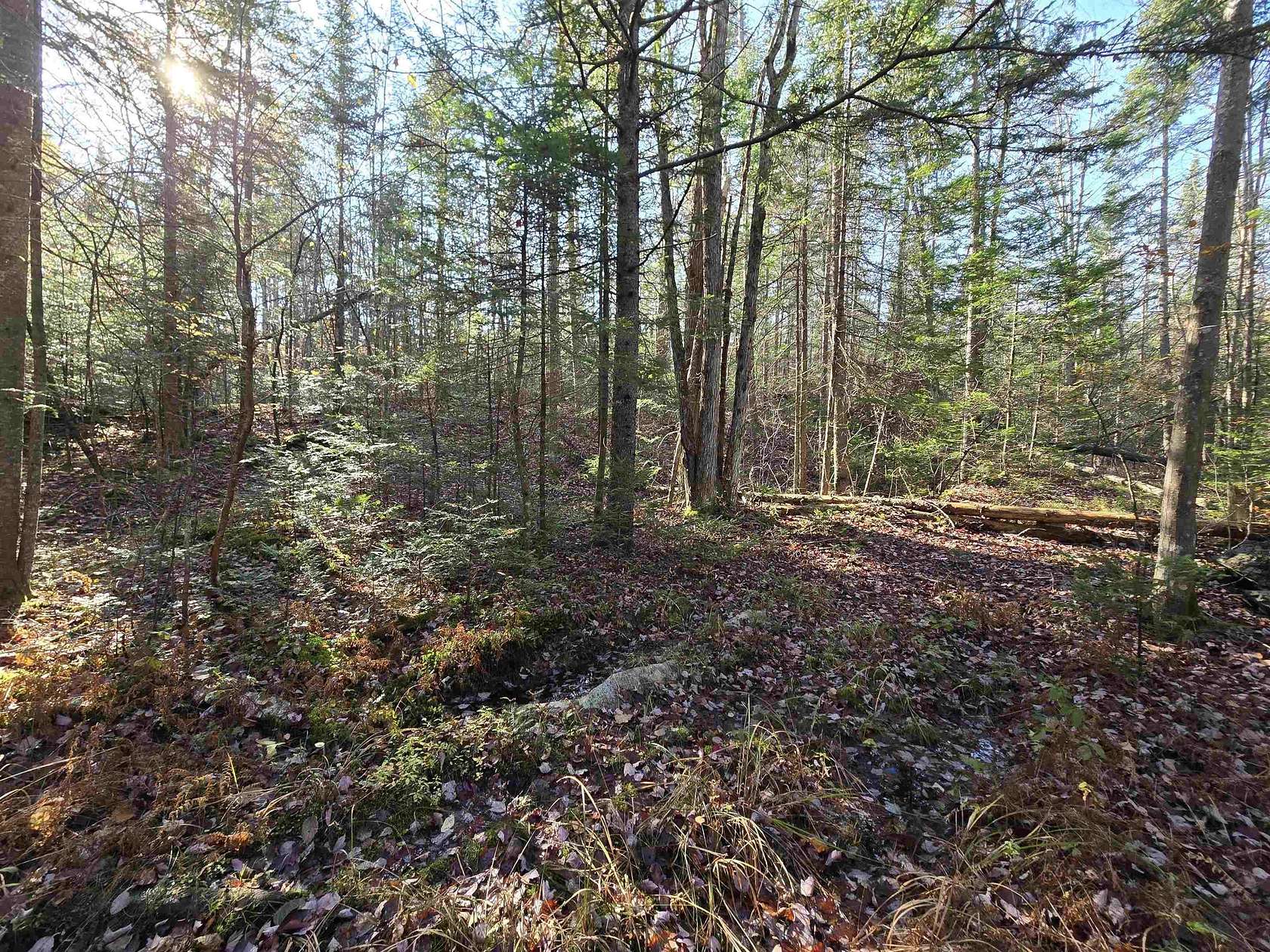 10.2 Acres of Recreational Land for Sale in Milan, New Hampshire