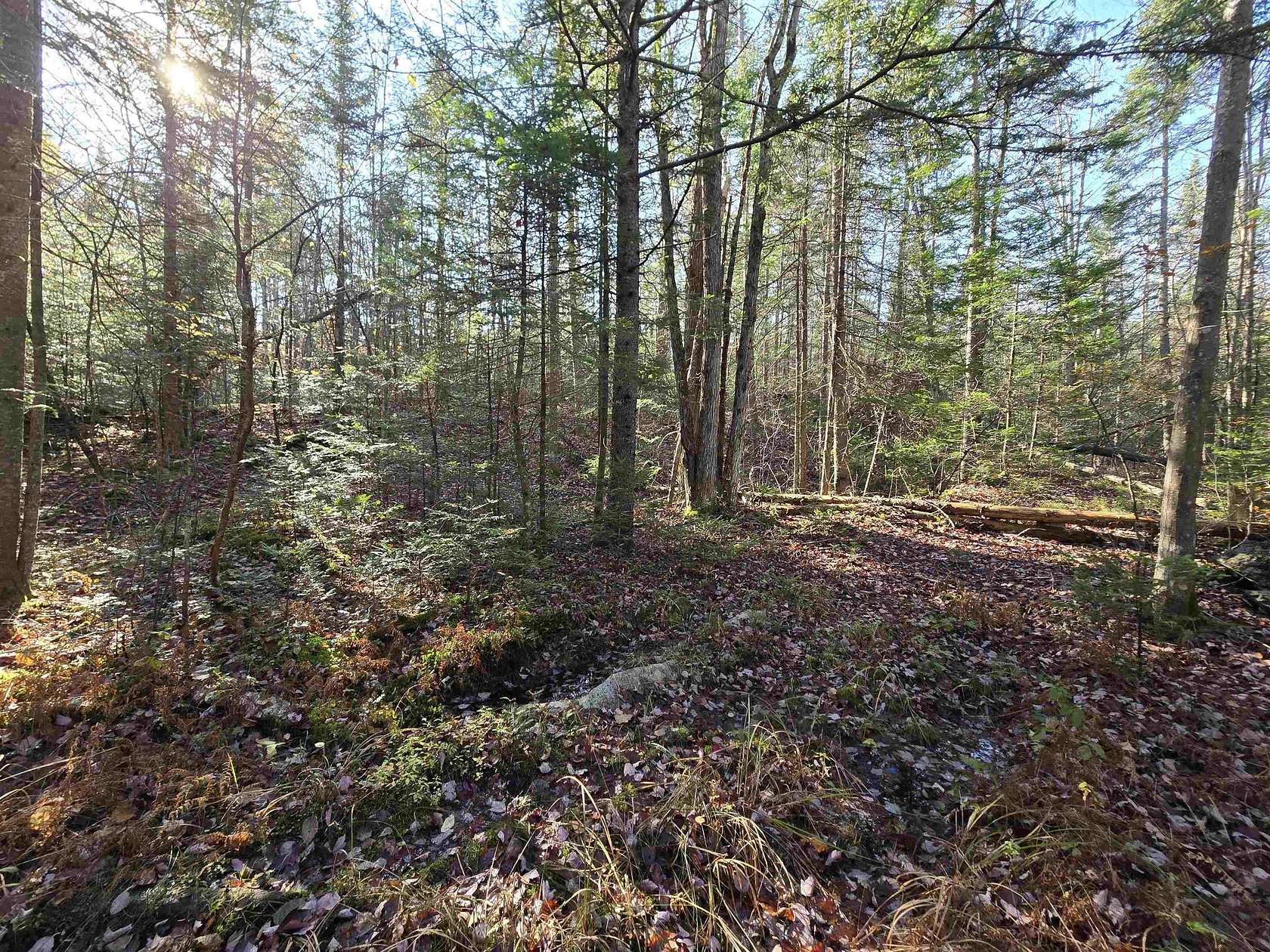 10.2 Acres of Recreational & Residential Land for Sale in Milan, New Hampshire