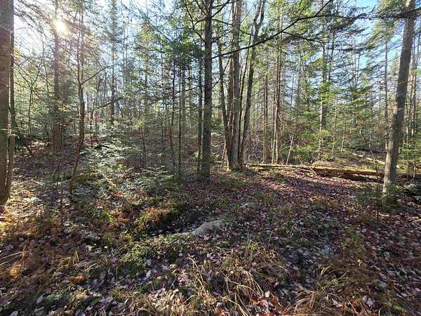 10.2 Acres of Recreational & Residential Land for Sale in Milan, New Hampshire